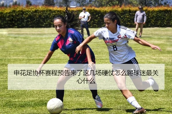 img_1780854449061_37_2_188.jpg