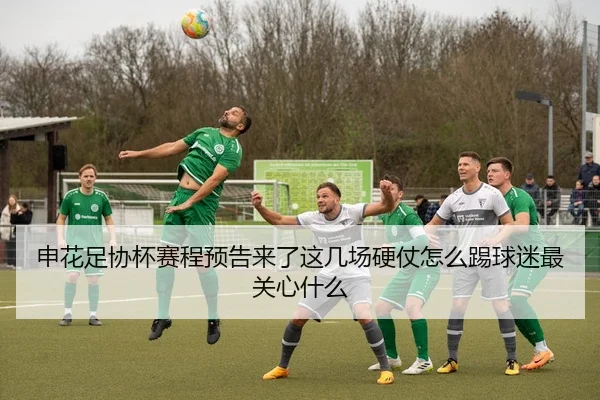 申花足协杯赛程预告来了这几场硬仗怎么踢球迷最关心什么